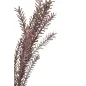 BULRUSH ROSSO 35x93 cm MIN 18
